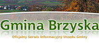 Brzyska